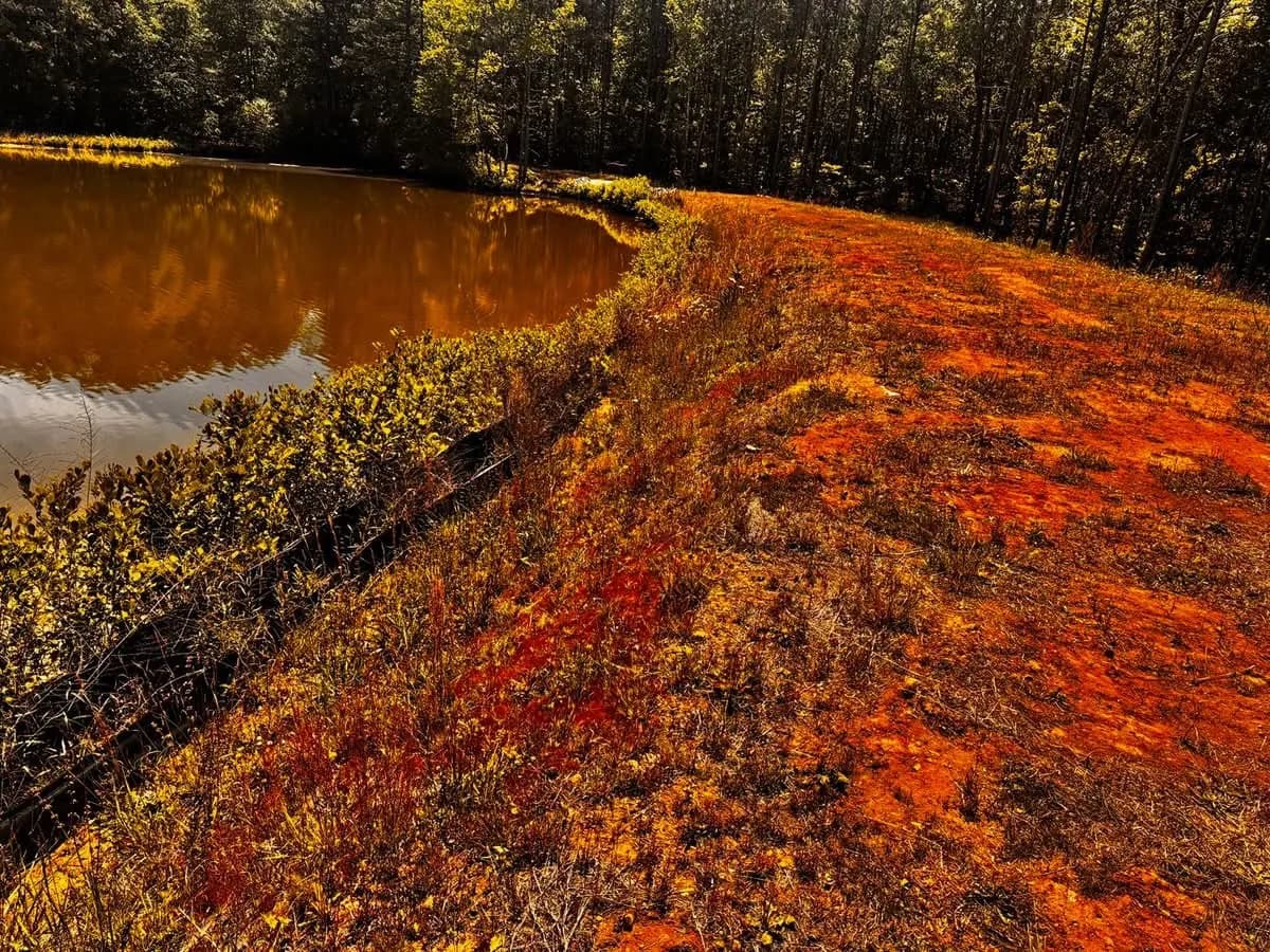 Pond bank as raw red clay before grading