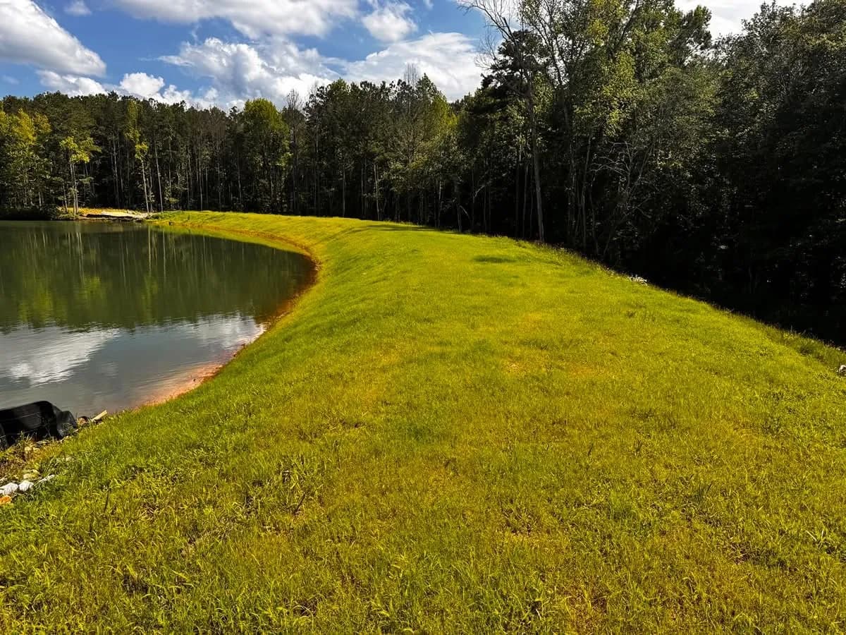 Grassed pond bank sloping down to the water